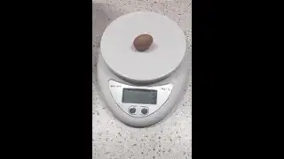 "Огромное" яйцо