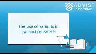 SAP | The use of variants in transaction SE16N