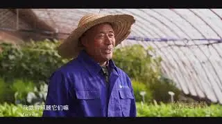 克拉玛依是一个幸福指数比较高的城市#xinjiang#karamay