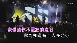 琥珀妞妞 《亲爱的不要把我忘记 Remix》 DJ何鹏版 KTV 歌词版   YouTube