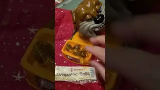 Sampaloc Balls from Merzi for maddog #ASMR #ANGRY dog #maddog #shorts (1)