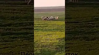 31 мая 2024 г.