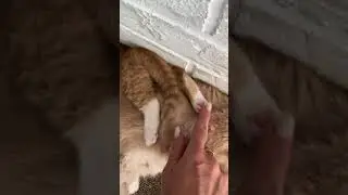 Mom's life 