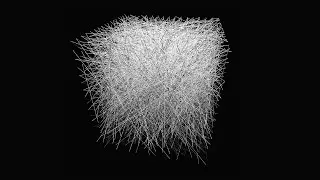 Guess The Sorting Algorithm
