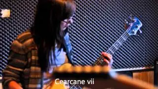 Amnesia - Destin In Umbra Mea (Minte-ma) with Lyrics