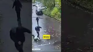 Grandpa is a hero from the Moscow region 
