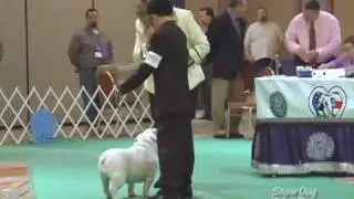 BCA 2009 Abimael Arroyo