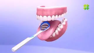 Brush Gum