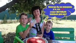 Никогда бы не поверила в то, что [Elev8] станет настолько важным для нас! [Надежда Дручинина]