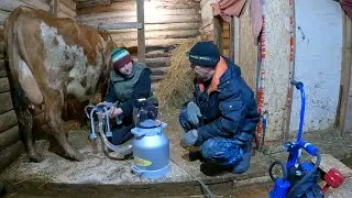 Дойка коровы  доильным аппаратом Фермер и его обзор!