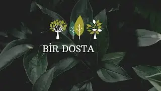 bir dosta