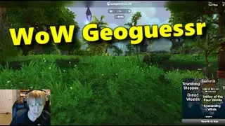 Now Those are Some Clean Guesses (World of Warcraft Geoguessr)
