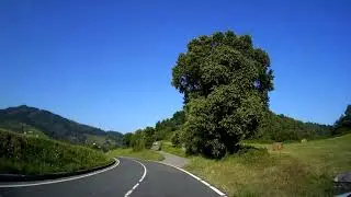 Acercándonos a Ibarranguelua o Ibarrangelu 2