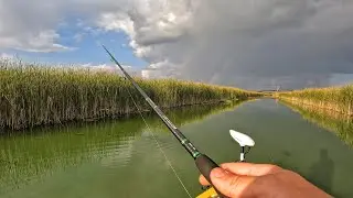Рыбалка на спиннинг НОВЫМ СПОСОБОМ! Ловля щуки на воблеры и джиг! Рыбалка на щуку в октябре