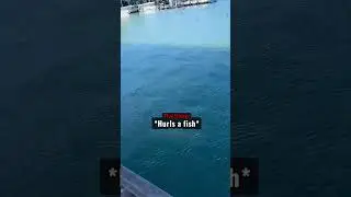 It reached him on LAND...😱