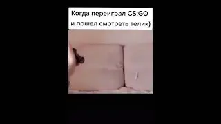 Когда переиграл в CS:GO 🤣🤣🤣