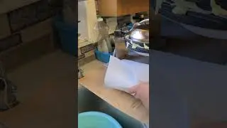 First time making bubble waffles