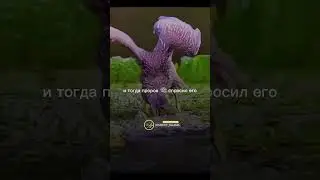 Муж ходит к любовнице 