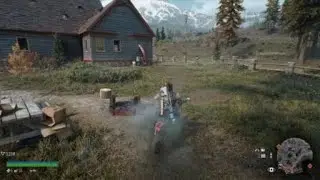DAYS GONE Audio Bug