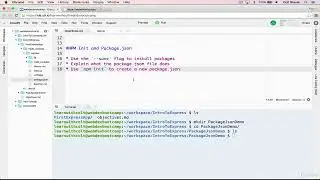 10   The Package json    Express Node JS      Full tutorial for Beginners