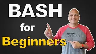 Bash Scripting for Beginners (Walkthrough + Examples)
