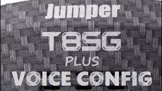 Jumper T8SG V2.0 Plus VOICE MODE ACTIVATED How To DIY Review
