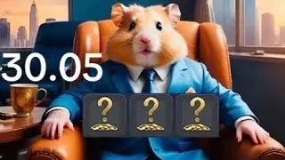 Hamster Kombat - КОМБО КАРТЫ 30 мая. Какие новые комбо карты 30.05? Как собрать комбо карты?