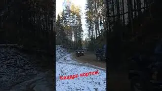 Квадро покатушки🤩