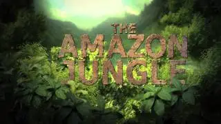 The Amazon Jungle