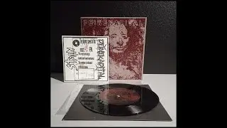 STAIN // PEINE KAPITAL - split single [FULL ALBUM] 2024