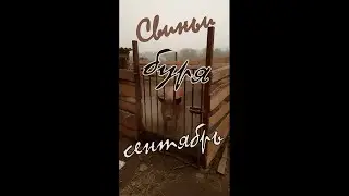пылевая буря в сентябре