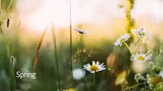 Spring (Original)