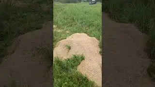 6 июня 2024 г.
