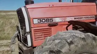 трактор майсей фергісун 3085  невеликий огляд в роботі