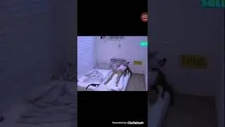 Ova DRAGANA MITAR JE PRAVA POGLEDAJTE