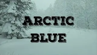 Freezy silence in the forest