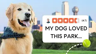 I Found THE BEST Dog Park in DFW