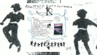 The Toads - In The Wilderness (2023)