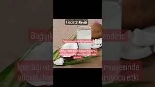 Hindistan Cevizinin Faydaları