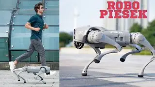 Robo Piesek - tani, inteligentny i taki fajny!