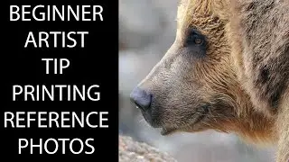 Beginner Artist Tip - Printing Great Reference Photos