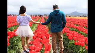 Oh Humsafar Oh Hamnava...Cover Song | Rishi |Yogita :)