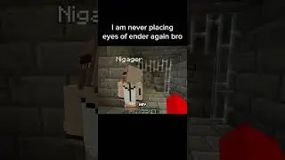 Minecraft meme