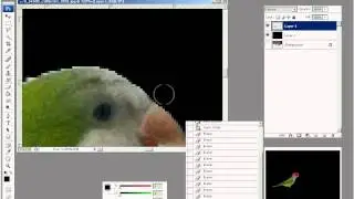 Уроки Photoshop -- выделение, вырезание.
