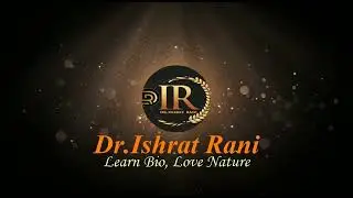 Intro Promo