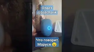 Ответ Маруси 😉