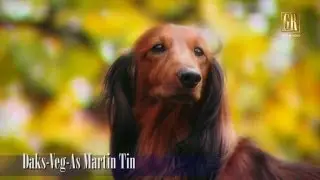 Daks-Veg-As Martin Tin