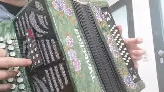 Midi Garmoschka, Tula 301, Миди гармонь серийка тула 301
