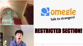 GOING ON OMEGLE'S RESTRICTED SECTION!!
