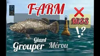 FARM the Giant Grouper - Mérou Géant - KAIJI NO RI